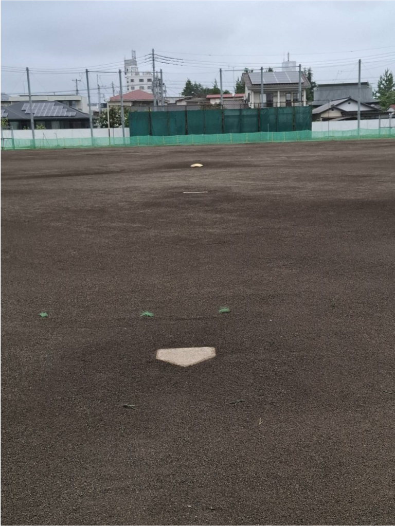 文星芸術大女子高校のグランド